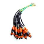 Pulmon de Freno Trasero